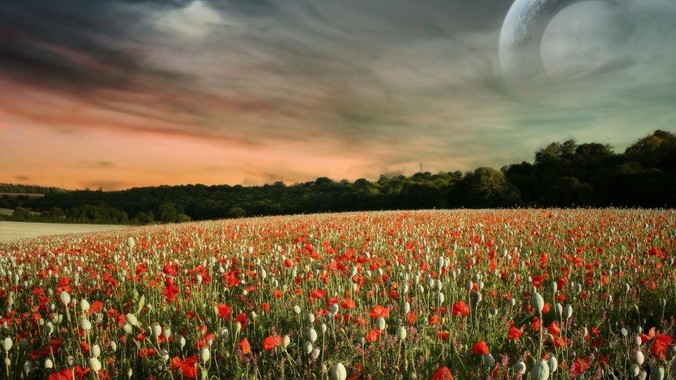 kvm是否会增加显示信号的传输延迟，或者键鼠的延迟？打游戏用这个，会影响吗？